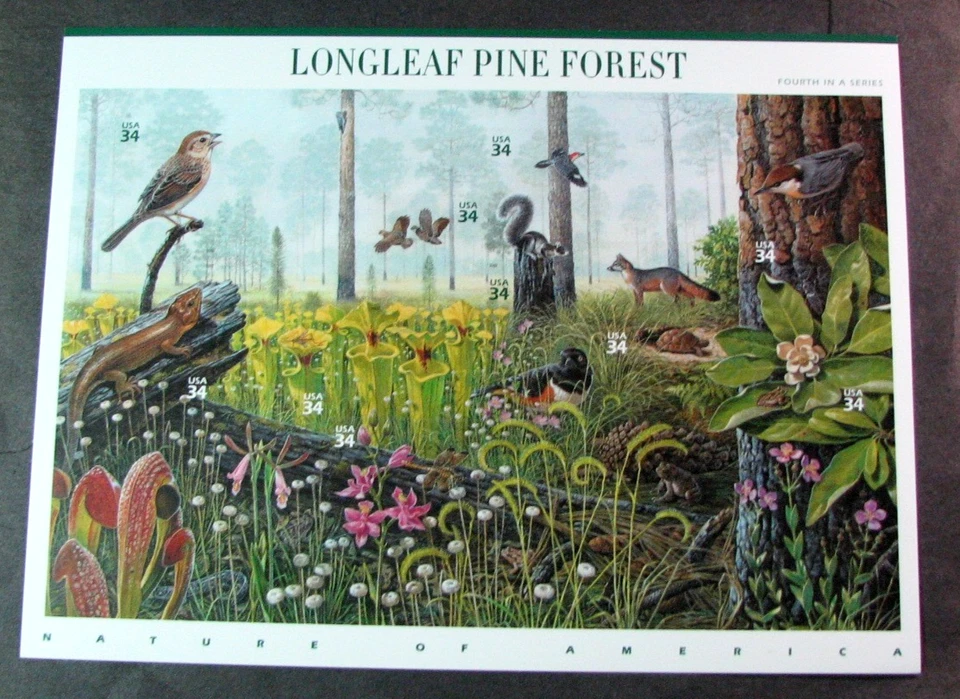 US Stamp Sheet Scott# 3611 Longleaf Pine Forest 2002 MNH H368 - Image 1 of 1