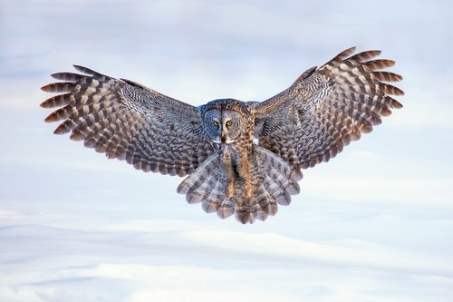 Bild 1 von 1
