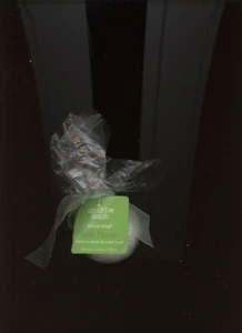 MISTLETOE MAGIC BATH FIZZER / 4 OZ. /INTOSSICANTE /*RARO* - Foto 1 di 1