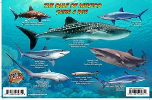 Gulf of Mexico Sharks & Rays Guide Franko Maps Waterproof Card - Picture 1 of 2