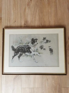 Pastel enmarcado y esmaltado de Border Collie firmado - Imagen 1 de 8