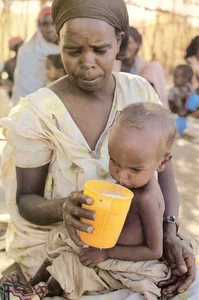 #2164 First Day Ceremony Program End Hunger Stamp - Picture 1 of 2