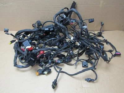 BMW R1300GS TE 2024 main wiring loom harness (15341) - Image 1 of 4