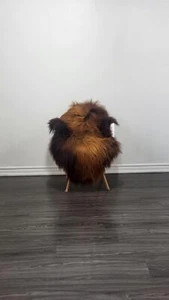 Luxury Icelandic sheepskin rug | Sheepskin throw | soft silky long wool #C137 - Picture 1 of 8