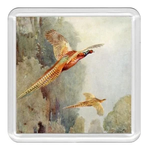 Precioso posavasos acrílico The Pheasant Bird novedad taza estera gran regalo - Imagen 1 de 1