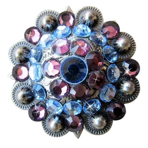 HILASON Set of 2 Western Screw Back Concho Amethyst Sapphire Crystal Cowgirl - Picture 1 of 4