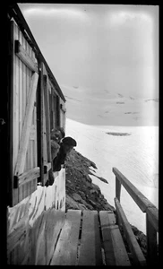 Landschaft Alpes Montagne Trekking Schnee- Hütte - Antik Negativ Foto an.1950 - Picture 1 of 1