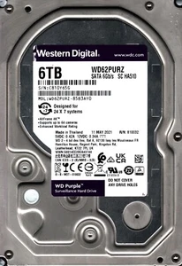 WD62PURZ-85B3AY0 S/N: C810Y WESTERN DIGITAL 6 TB TAILANDIA MAYO 2021 - Imagen 1 de 2