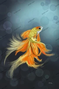 Fish Artwork - Picture 1 of 1