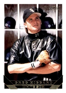 1993 Topps Gold Greg Hibbard Foil MLB Insert PWE White Sox #313 - Picture 1 of 2