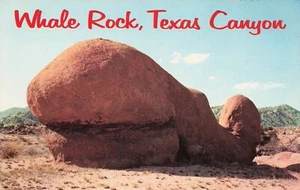 Famous Whale Rock, Texas Canyon, Arizona PC vintage - Foto 1 di 2