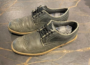 Zapatos de golf FootJoy FJ Pro/SL de cuero azul sin clavos 57048 para hombre talla 10 EE. UU. - Imagen 1 de 5