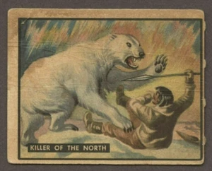 Killer of the North  1950 Topps Bring Em Back Alive Trading Card - Picture 1 of 2