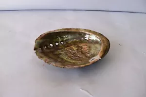 Vintage Mare Cover Abalone Orecchio Conchiglie Muttinshells Soap Pot Decorate " - Foto 1 di 8