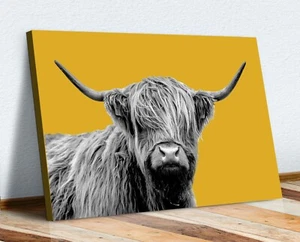 HIGHLAND COW BLACK AND WHITE YELLOW MUSTARD CANVAS WALL ART PRINT ARTWORK - Picture 1 of 3