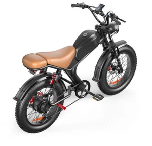 1000W 48Ah 20A 20Zoll Elektrofahrrad Abnehmbarer Akku Fatbike OffroadBike EBike - Bild 1 von 21