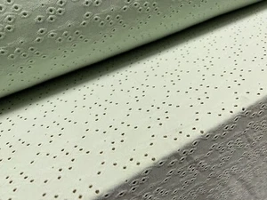 Broderie Anglaise Stretch Spandex Single Jersey Fabric, Per Metre - Mint Green - Picture 1 of 3