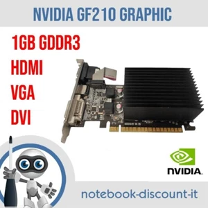Grafikkarte NVIDIA GEFORCE GF210 1GB DDR3 64B CRT DVI HDMI NEAG2100HD06-1193H - Bild 1 von 1