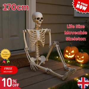 170cm Halloween Skelett Full Life Size Poseable Human Skelett Dekoration Requisite - Bild 1 von 21