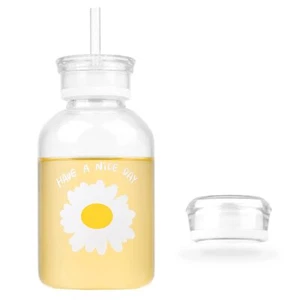 Cute Water Bottle 16oz Matte Glass Straw and Scale Sunflower Design - Picture 1 of 7
