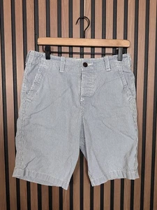 Abercrombie & Fitch Shorts 30 Mens Blue White Seersucker 100% Cotton - Picture 1 of 8