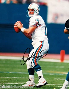 DAN MARINO-Miami Dolphins-Autographed 8x10 Picture-Football Hall Of Fame - Picture 1 of 2