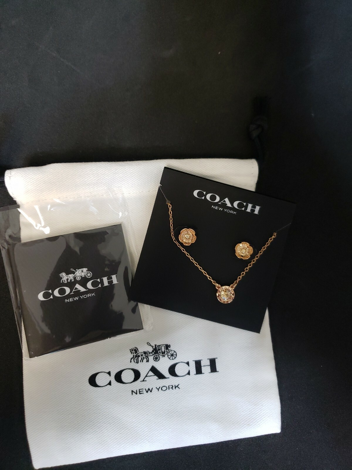 FABFITFUN FALL 2021 COACH Open Circle 