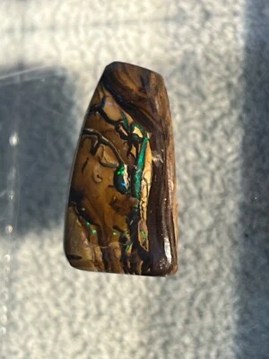 Koroit Boulder Nut Opal 14.3ct. Green blue Fire! USA produced origin : Australia - Image 1 of 4