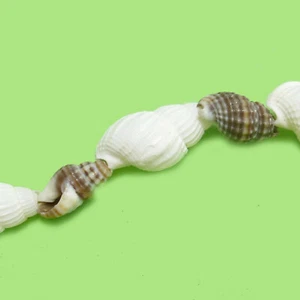 Cuentas de Almejas Caracoles 8-18 mm Hebra 140 cm Espaciador Diseño Nenad R008 - Imagen 1 de 9