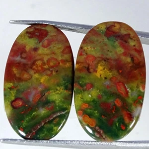 20.50Cts. 100% Natural Blood Stone Gemstone Cabochon Pair 14X23X4MM - Picture 1 of 4