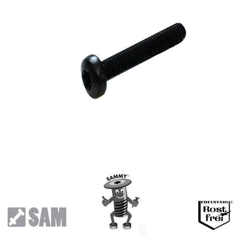 Linsenkopfschrauben DIN 7985 TORX Edelstahl A2 SCHWARZ  M2 M2,5 M3 M4 BLACK - Bild 1 von 1