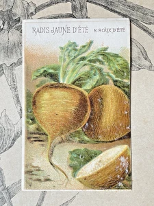 Etiquette Chromo Légume ancien Vilmorin Radis jaune d'été Horticulture Catalogue - Picture 1 of 1