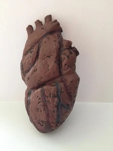 GORY CUORE PARTE CORPO HALLOWEEN HORROR CASA OGGETTO DI SCENA COSTUME DECORAZIONE 85014 - Foto 1 di 3