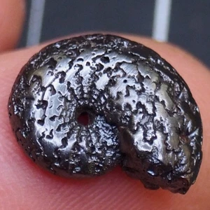 17 mm Ammonite Hematite Morocco Jurassic Fossil Ammoniten 2288 - Picture 1 of 14