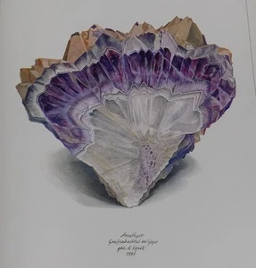 Masterworks Of Saxon Minerals Meisterwerke Sächsischer Minerale E. Equit SIGNED - Picture 1 of 24