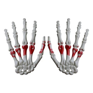 Halloween Skeleton Hands Realistic Fake Human Hands for Halloween Zombied Party - Picture 1 of 8