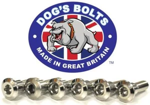 Triumph 1050 Tiger (ABS & Non) 07-12 Stainless Steel Front Brake Disc Bolt Kit - Picture 1 of 1