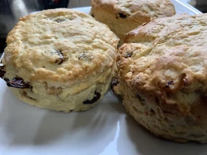 6 Homemade Fruit Scones New Larger Size) Made To Order. Crumbly and Tasty - Picture 1 of 12