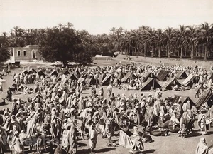 1924 Vintage NORTH AFRICA Tunisia Maket Tripolis Arab Oasis ~ LEHNERT & LANDROCK - Picture 1 of 1