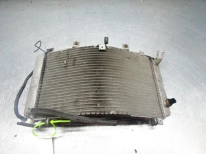 Suzuki GSX1300 R Hayabusa 1999-2007 Motorcycle Radiator Assembly - Picture 1 of 6