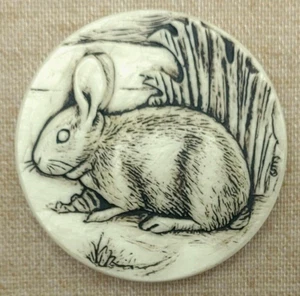 Rabbit Fridge Magnet New Refrigerator Animals Nature - Picture 1 of 4