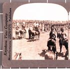 WWI Stereoview card:  Canadian 48th Highlanders of Toronto