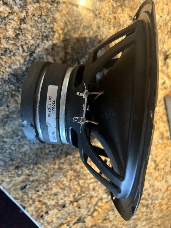 Peerless by Tymphany 830922 10” cono HDS woofer QC 110509 Foto 1 de 4