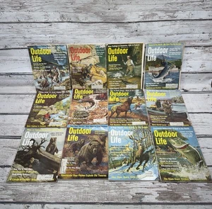 Vintage Outdoor Life Jagd/Angel Magazin 1969 Komplettsatz mit 12 Ausgaben - LOT - Bild 1 von 9
