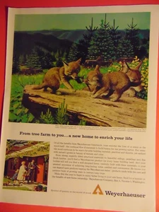 1963 WEYERHAEUSER Tree Farm Animals Play vintage print ad - Picture 1 of 1