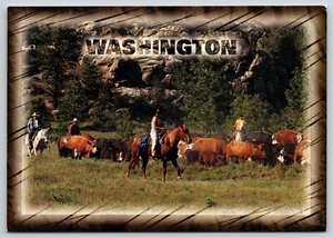 Cartolina Allevamento bestiame Washington allevatori a cavallo - John Marshall - Foto 1 di 2