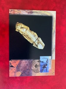 AUSTRALIA 1997 MAXI CARD FDI DINOSAURS REPTILE WOOLUNGASAURUS GLENDOWERENSIS - Picture 1 of 2