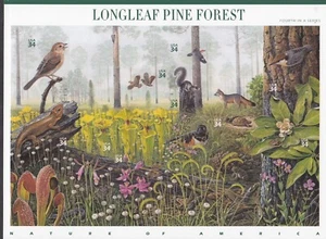 Longleaf Pine Forest Mint Sheet of 10 Stamps, Scott # 3611, MNH, Free Shipping! - Picture 1 of 1