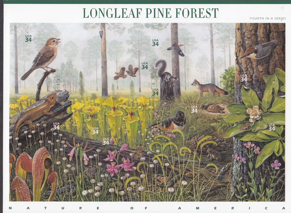 Longleaf Pine Forest Mint Sheet of 10 Stamps, Scott # 3611, MNH, Free Shipping! - Image 1 of 1