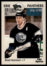 1994-95 C&J Sports Erie Panthers ECHL Brad Harrison #8